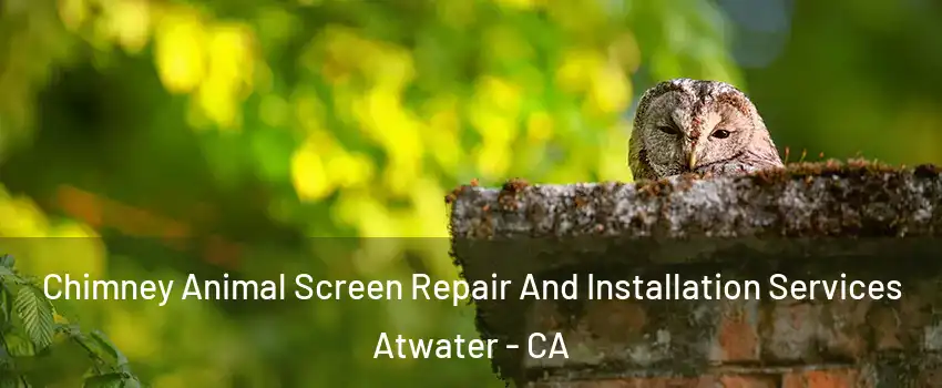  Chimney Animal Screen Repair And Installation Services Atwater - CA