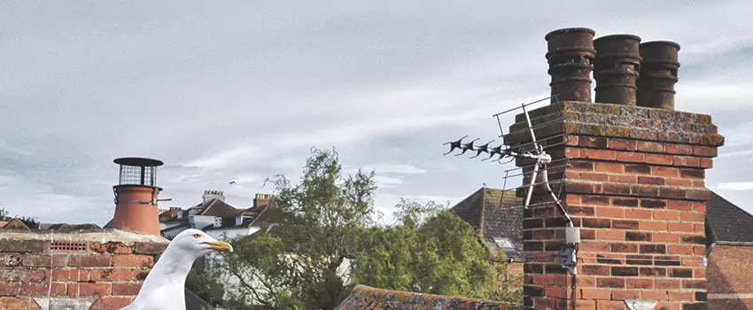 Chimney Cleaning And Restoration in Atwater, California