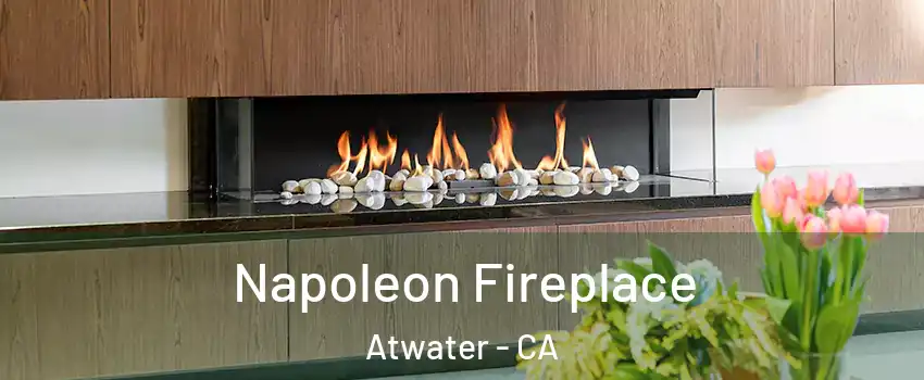  Napoleon Fireplace Atwater - CA